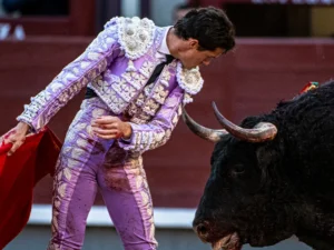 Torero con traje de luces interactuando con un toro en la plaza