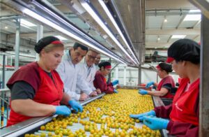 Grupo de trabajadores en una línea de producción de alimentos