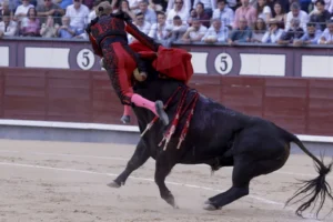 Torero Clemente en acción durante una corrida con un toro.