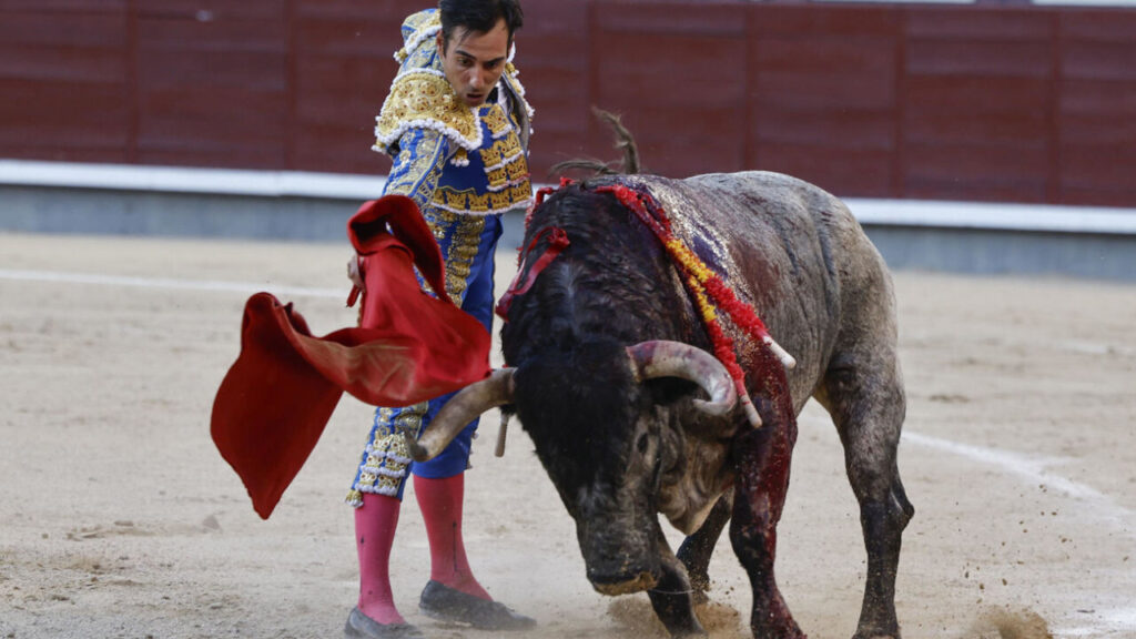 Gómez del Pilar lidiando un toro en la feria de San Isidro