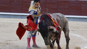 Gómez del Pilar lidiando un toro en la feria de San Isidro