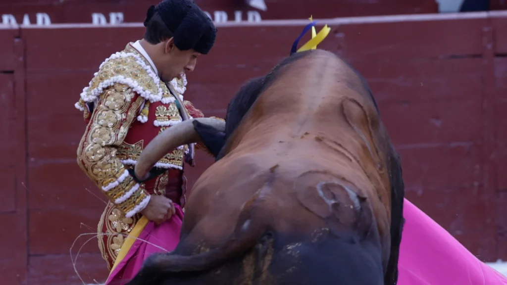 Torero Ismael Martín en acción con un toro en la plaza de toros.