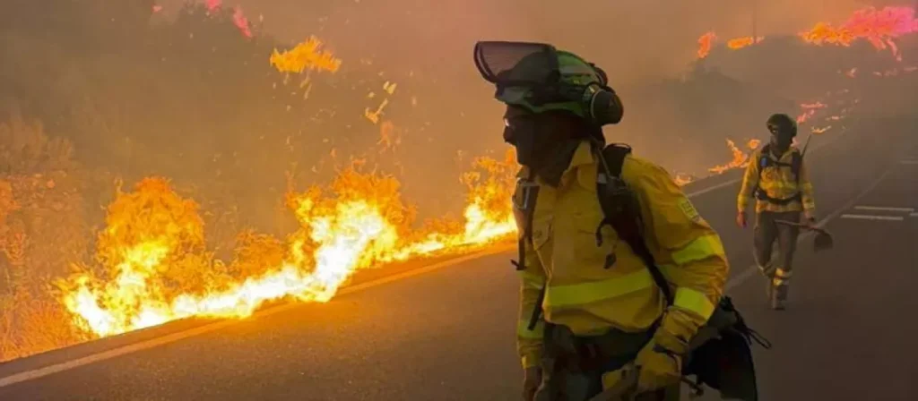Bomberos trabajan en el incendio de Los Gallardos (Almería)